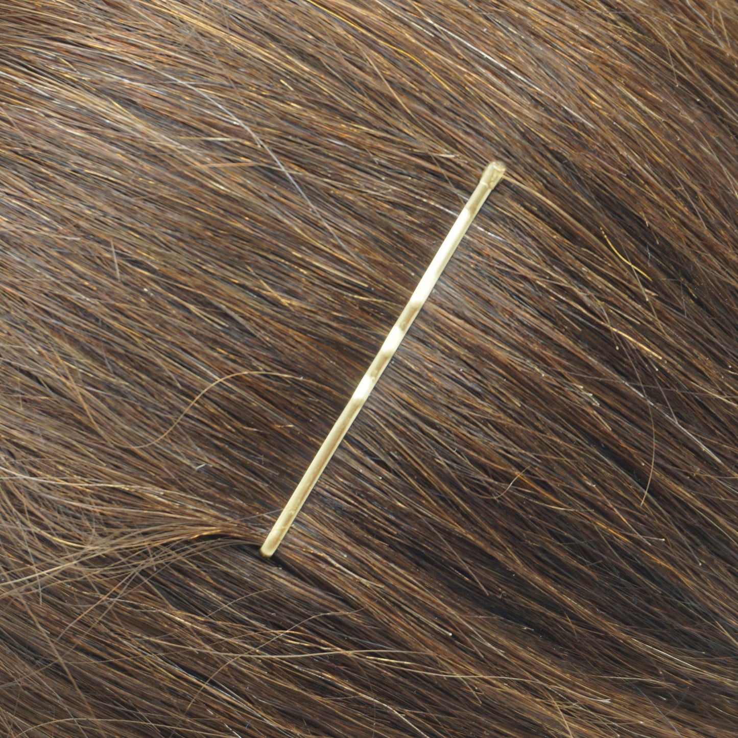 300, Brass Color, 2.0in (5.0cm), Italian Made Bobby Pins, Recloseable Stay Clean and Organized Container - 6 Retail Packs