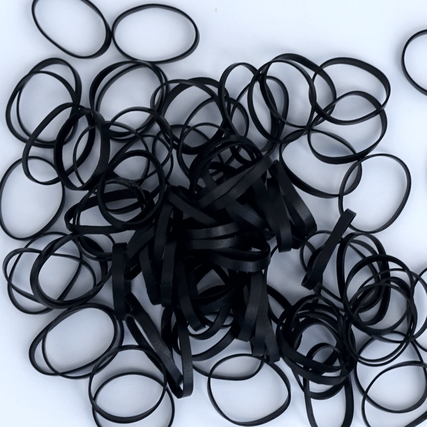 500, Black, Standard Size, Tangle Free for Pony Tails and Braids - 12 Retail Packs